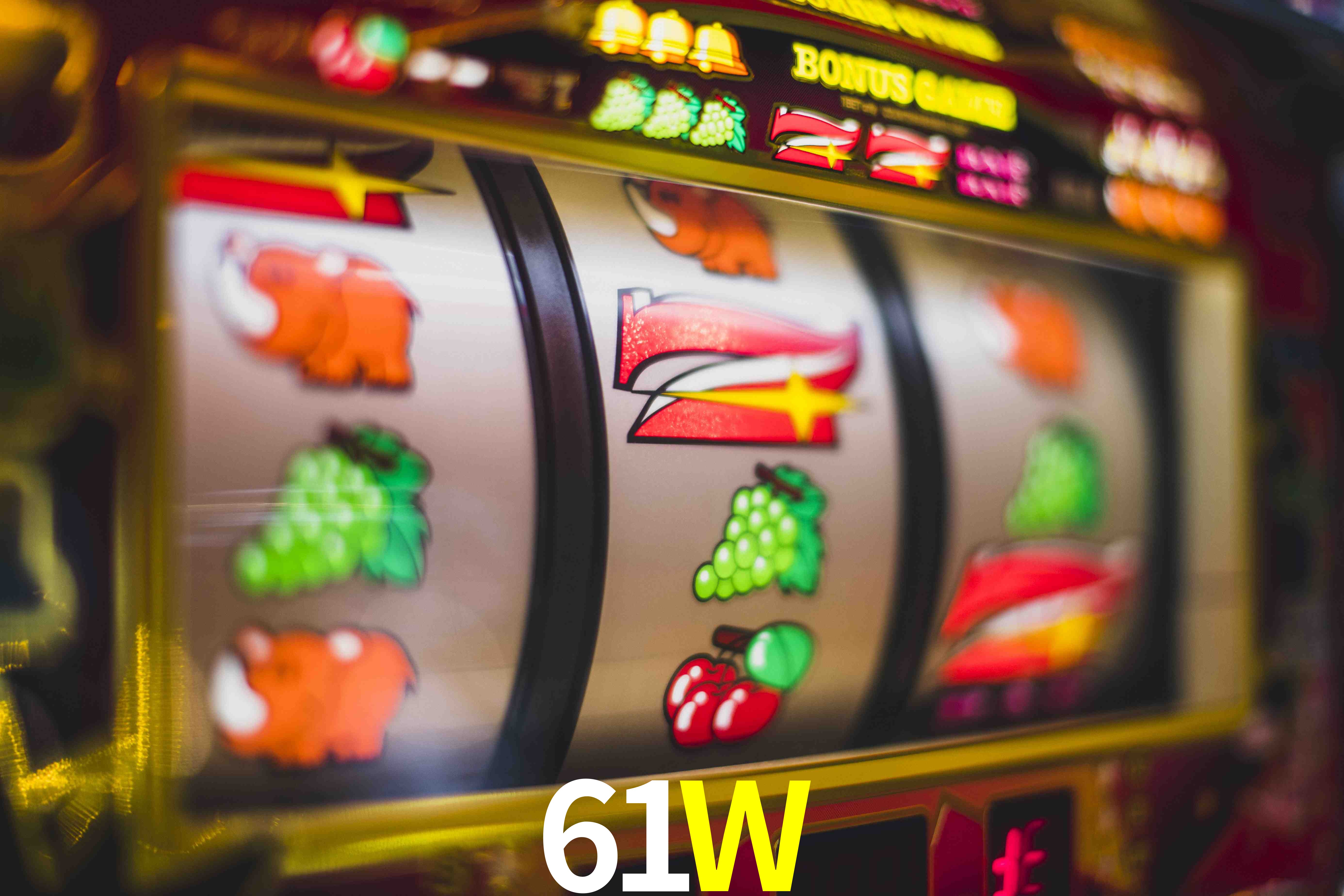 61W